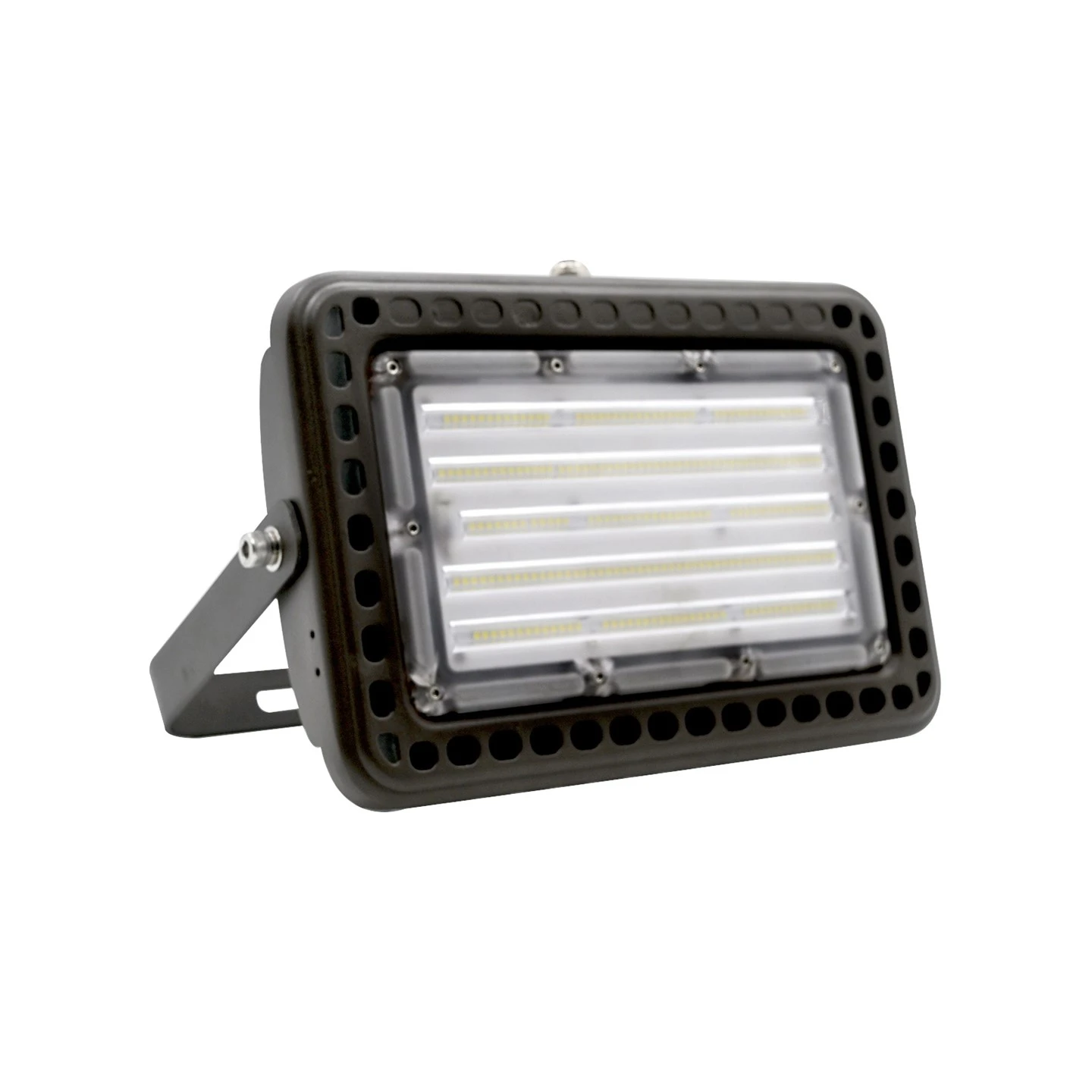 Foco Proyector Led 100W IP66
